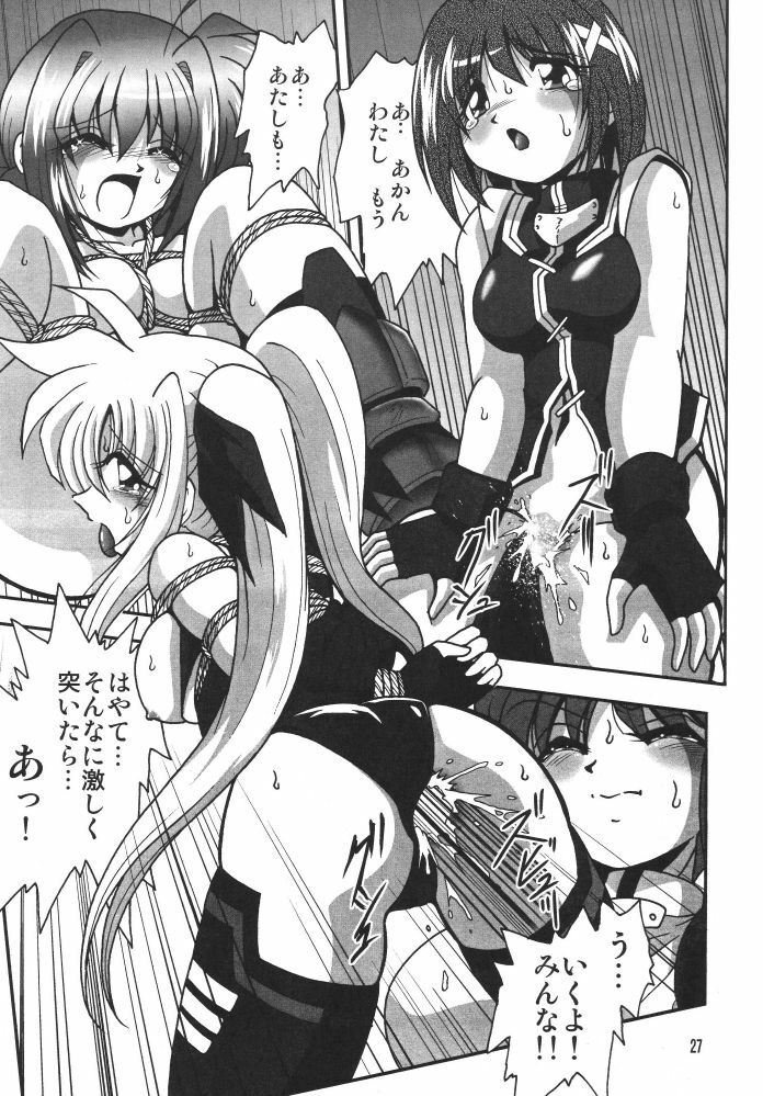 [Thirty Saver Street 2D Shooting (Various)] Storage Ignition 3 (Mahou Shoujo Lyrical Nanoha) page 27 full