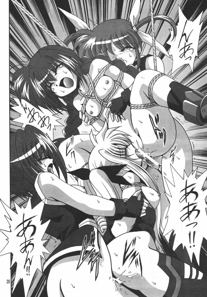 [Thirty Saver Street 2D Shooting (Various)] Storage Ignition 3 (Mahou Shoujo Lyrical Nanoha) page 28 full