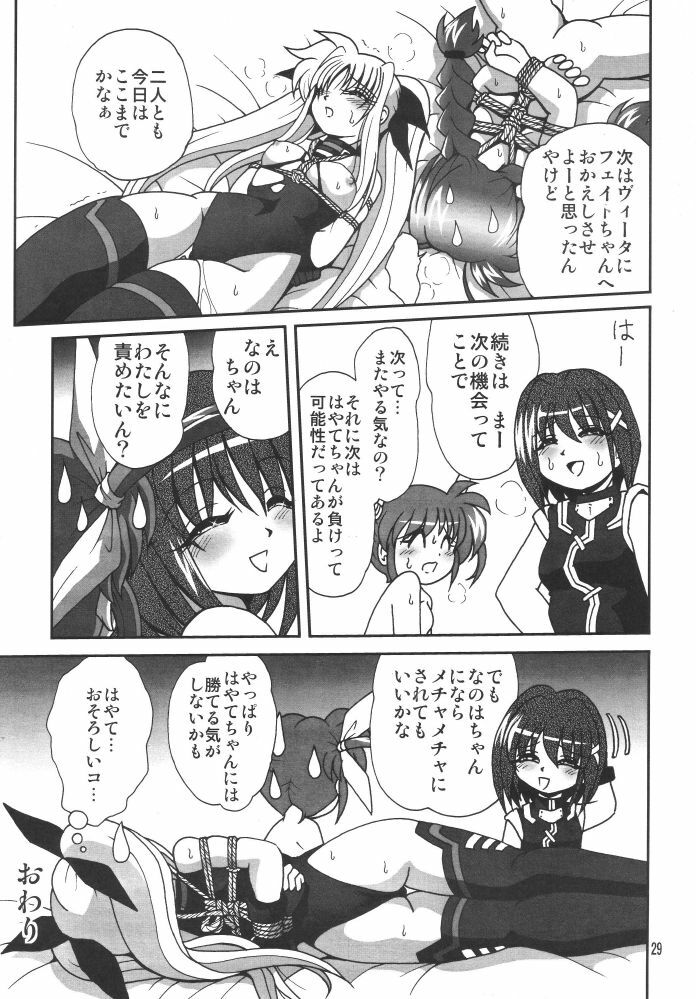 [Thirty Saver Street 2D Shooting (Various)] Storage Ignition 3 (Mahou Shoujo Lyrical Nanoha) page 29 full