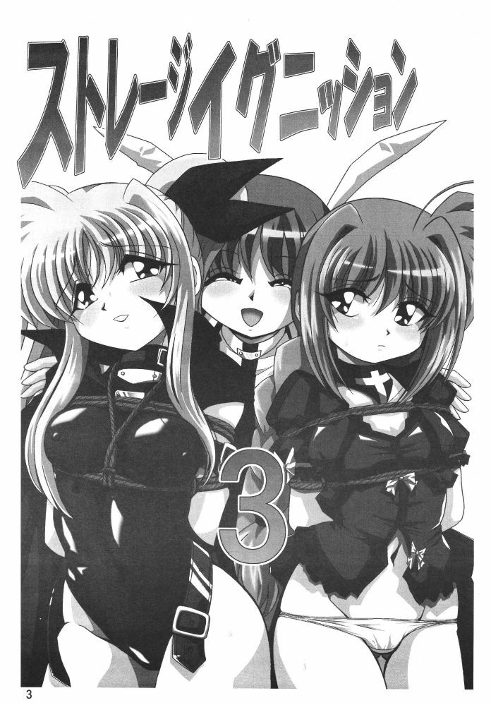 [Thirty Saver Street 2D Shooting (Various)] Storage Ignition 3 (Mahou Shoujo Lyrical Nanoha) page 3 full