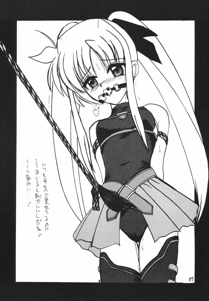 [Thirty Saver Street 2D Shooting (Various)] Storage Ignition 3 (Mahou Shoujo Lyrical Nanoha) page 37 full