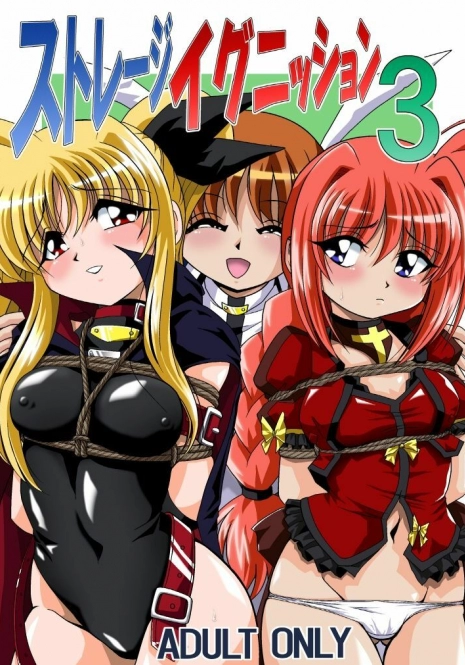 [Thirty Saver Street 2D Shooting (Various)] Storage Ignition 3 (Mahou Shoujo Lyrical Nanoha)