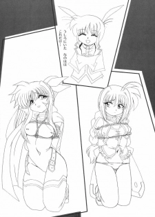 [Thirty Saver Street 2D Shooting (Various)] Storage Ignition 3 (Mahou Shoujo Lyrical Nanoha) - page 30