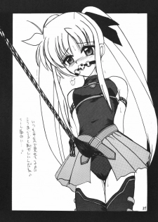 [Thirty Saver Street 2D Shooting (Various)] Storage Ignition 3 (Mahou Shoujo Lyrical Nanoha) - page 37