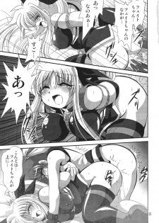 (Lyrical Magical 4) [Thirty Saver Street 2D Shooting (Various)] Storage Ignition 4 (Mahou Shoujo Lyrical Nanoha) - page 24