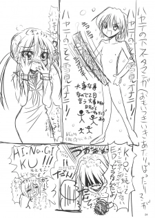 (COMIC1☆3) [Rikudou Juku (Ai ha muteki)] Ochita Hina Chiru Rangiku (Hayate no Gotoku!) - page 23