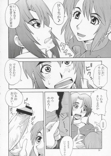 (C67) [MANGANA (Doluta, Nishimo)] Tane Desutte ne. Vol. 1 (Gundam Seed Destiny) - page 25