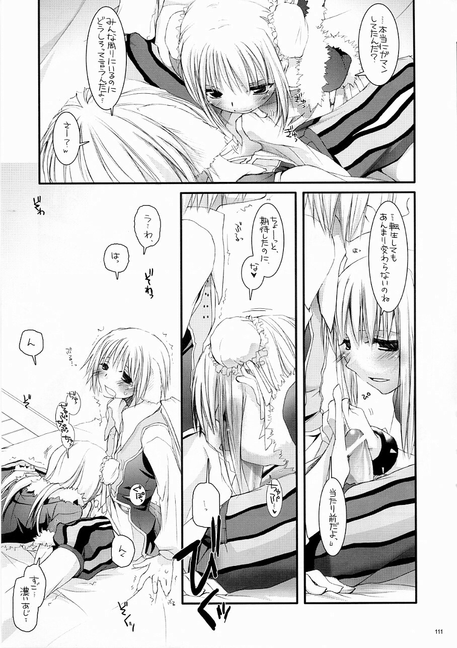 (C70) [Digital Lover (Nakajima Yuka)] DL-RO Soushuuhen 03 - DL-RO Perfect Collection No. 03 (Ragnarok Online) page 110 full