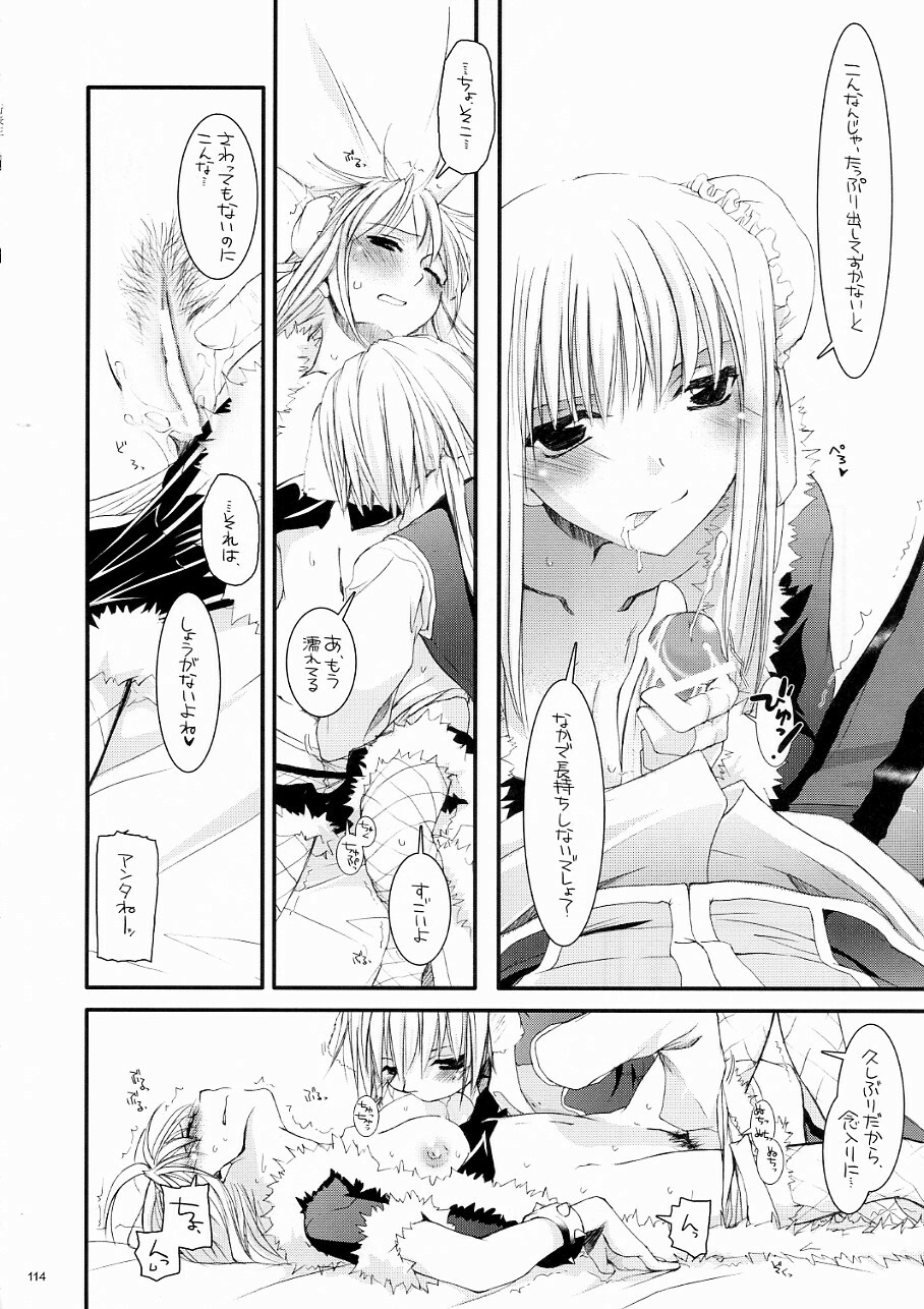 (C70) [Digital Lover (Nakajima Yuka)] DL-RO Soushuuhen 03 - DL-RO Perfect Collection No. 03 (Ragnarok Online) page 113 full