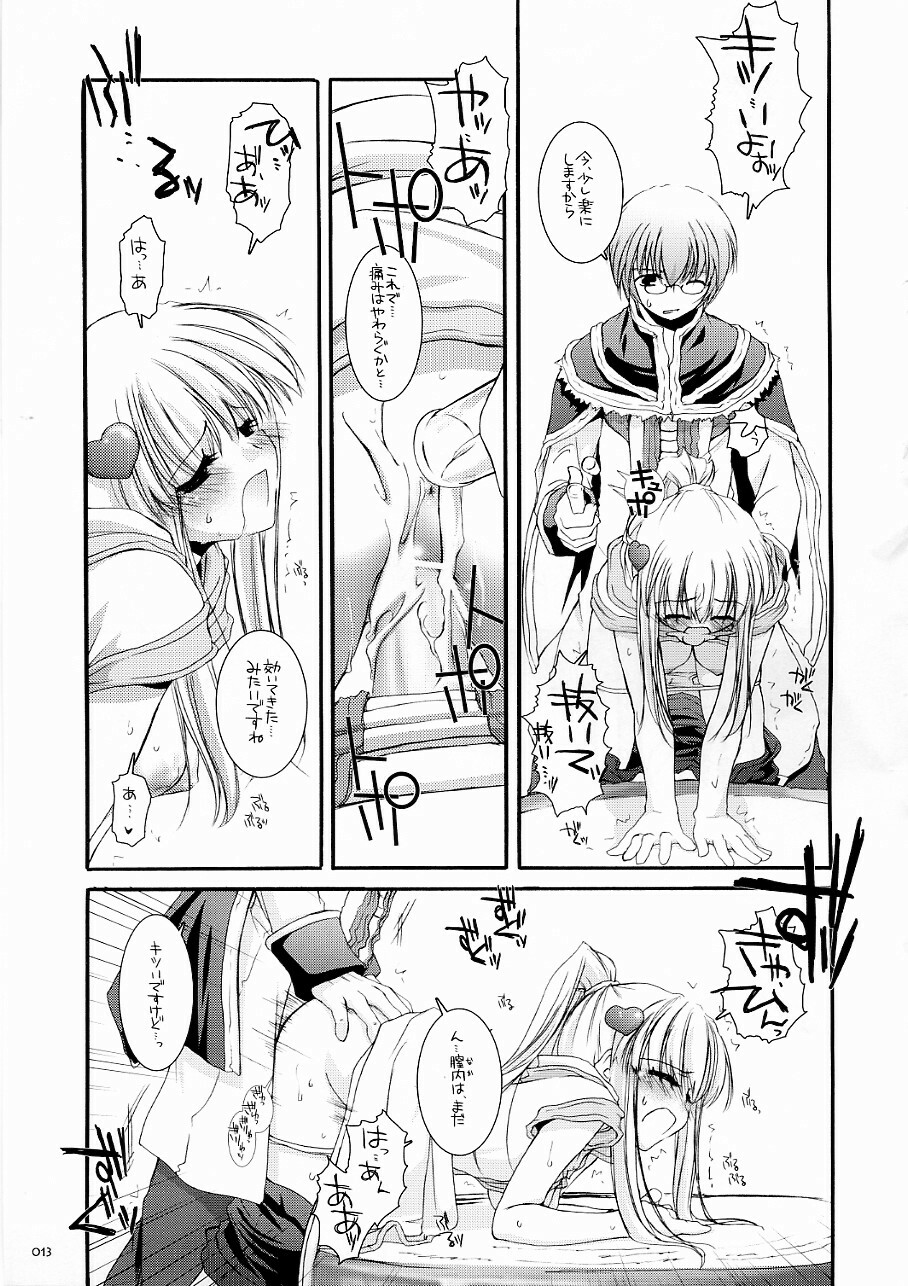 (C70) [Digital Lover (Nakajima Yuka)] DL-RO Soushuuhen 03 - DL-RO Perfect Collection No. 03 (Ragnarok Online) page 12 full