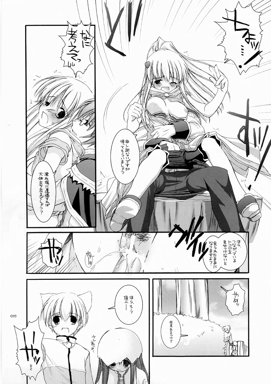 (C70) [Digital Lover (Nakajima Yuka)] DL-RO Soushuuhen 03 - DL-RO Perfect Collection No. 03 (Ragnarok Online) page 14 full