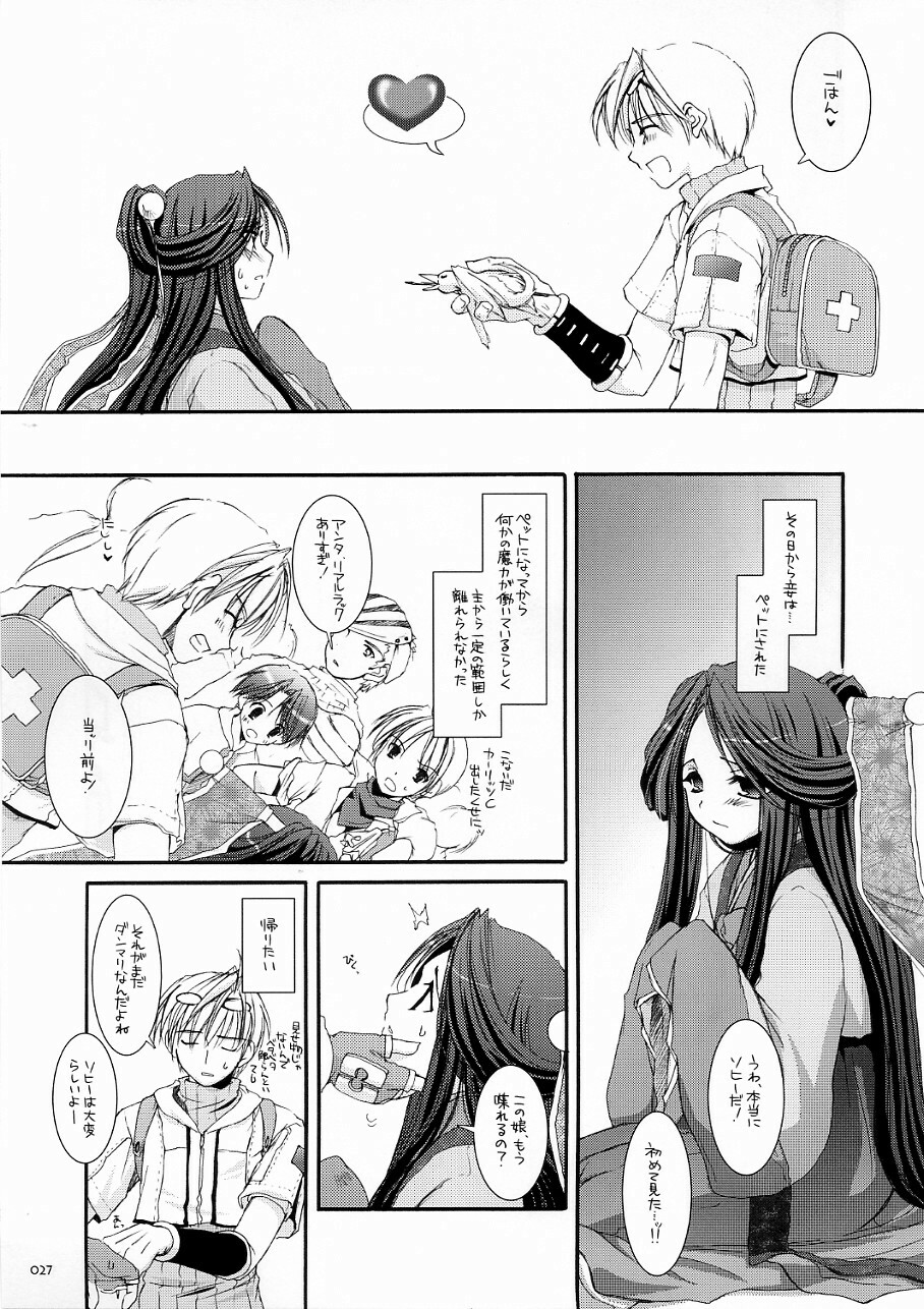 (C70) [Digital Lover (Nakajima Yuka)] DL-RO Soushuuhen 03 - DL-RO Perfect Collection No. 03 (Ragnarok Online) page 26 full