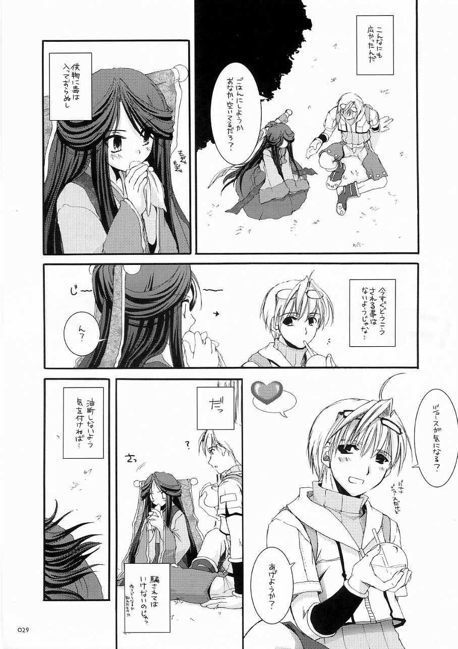 (C70) [Digital Lover (Nakajima Yuka)] DL-RO Soushuuhen 03 - DL-RO Perfect Collection No. 03 (Ragnarok Online) page 28 full