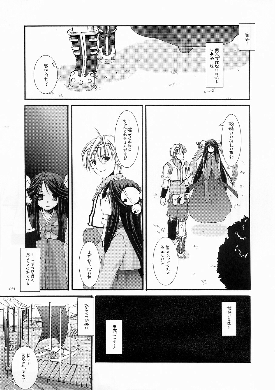 (C70) [Digital Lover (Nakajima Yuka)] DL-RO Soushuuhen 03 - DL-RO Perfect Collection No. 03 (Ragnarok Online) page 30 full