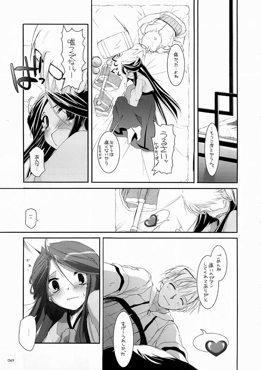 (C70) [Digital Lover (Nakajima Yuka)] DL-RO Soushuuhen 03 - DL-RO Perfect Collection No. 03 (Ragnarok Online) page 68 full