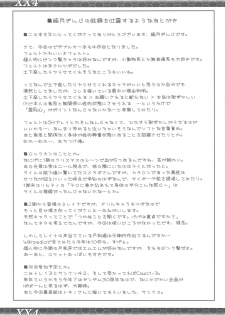 (C75) [Zi (Mutsuki Ginji)] XX4 (Gundam 00) - page 24