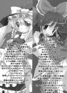 (Puniket 18) [Raiden Labo (Raiden, Mikiharu)] Gensou Rakuen (Touhou Project) - page 3