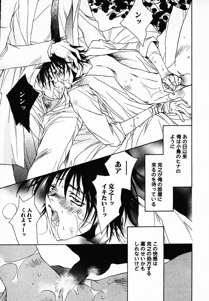 [Breed in the Sickroom][飼育病室][yaoi][JPN] page 19 full