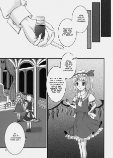 (Kouroumu 4) [Luxia Continent (Yuki Shuka)] Candy Amethyst (Touhou Project) [English] [desudesu] - page 29