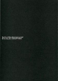 (C71) [ARESTICA, D.N.A.Lab. (Ariko Youichi, Miyasu Risa)] Velvet Underground (Sumomomo Momomo) - page 20