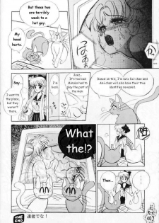 [Tenny Le Tai] [Sailor Moon] Silky Moon (one translated story) - page 16