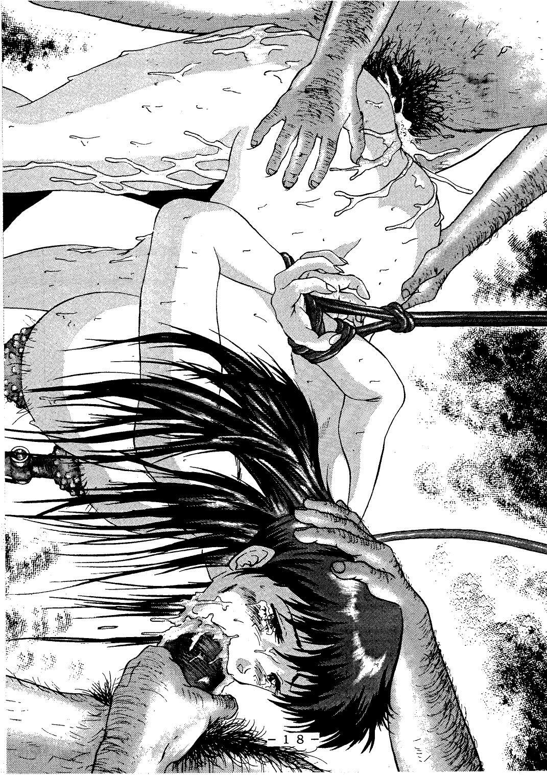 (C54) [White Elephant] Anice-sensei Kannou Shashinshuu (Sonic Soldier Borgman) page 18 full