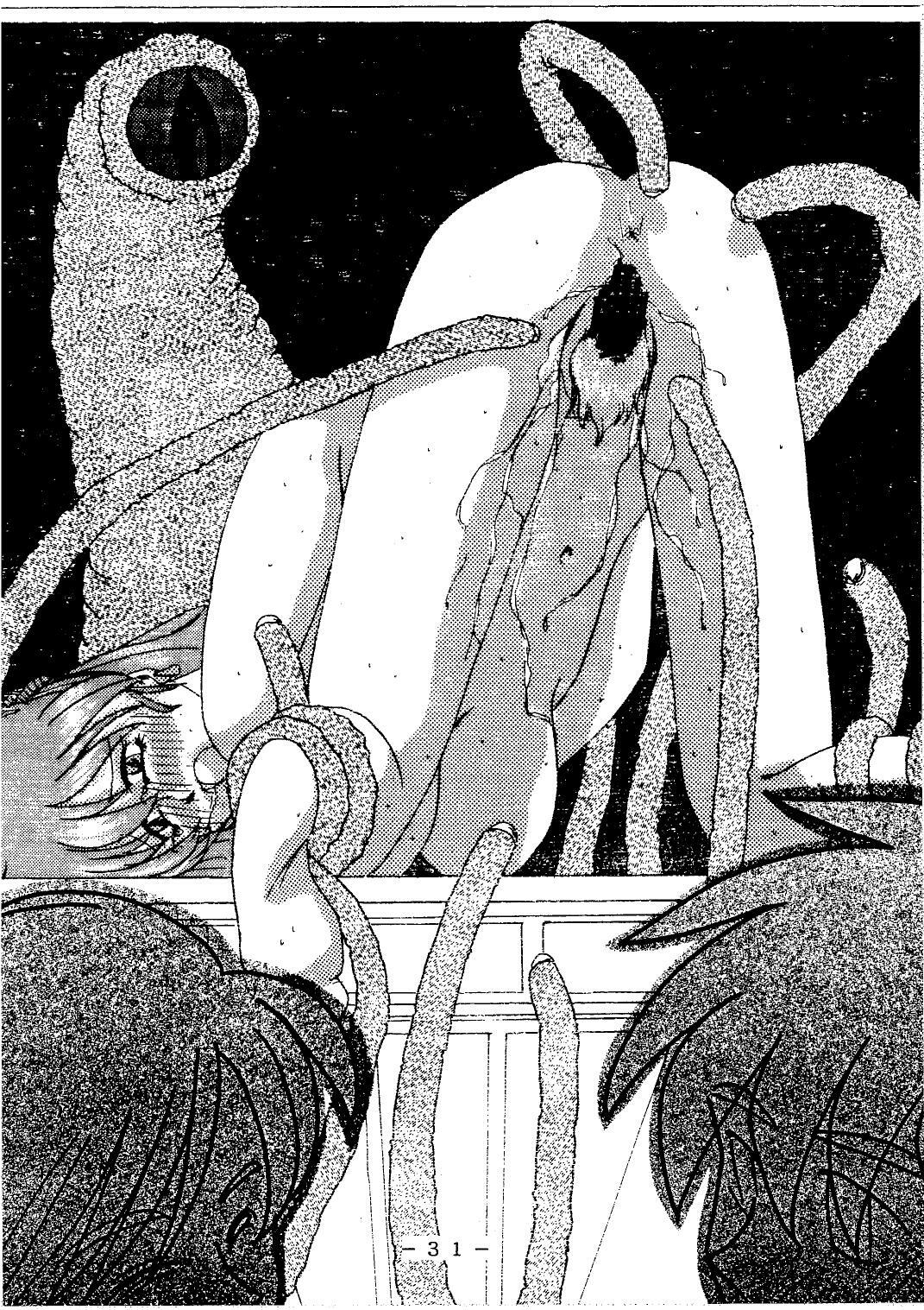 (C54) [White Elephant] Anice-sensei Kannou Shashinshuu (Sonic Soldier Borgman) page 31 full