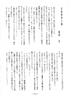 (C54) [White Elephant] Anice-sensei Kannou Shashinshuu (Sonic Soldier Borgman) - page 20