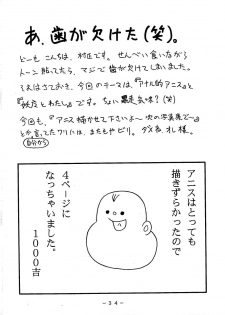 (C54) [White Elephant] Anice-sensei Kannou Shashinshuu (Sonic Soldier Borgman) - page 34