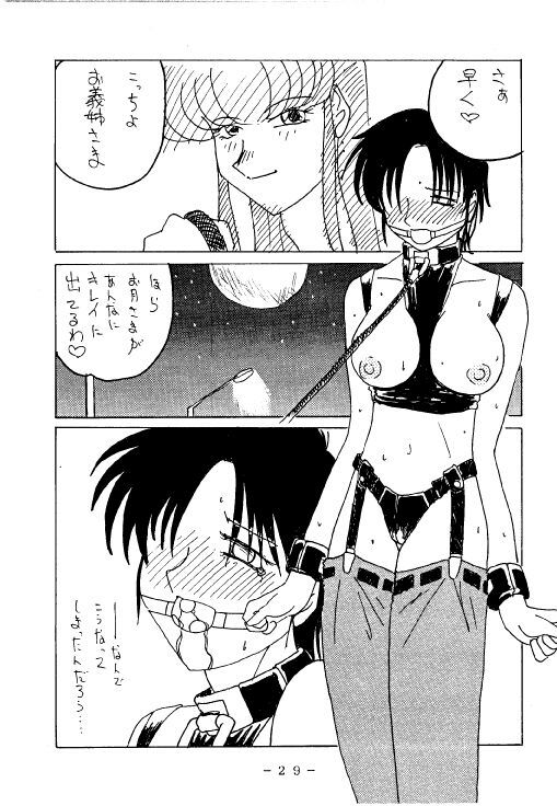 (C53) [WHITE ELEPHANT (Various)] Kousoku Sankan page 28 full