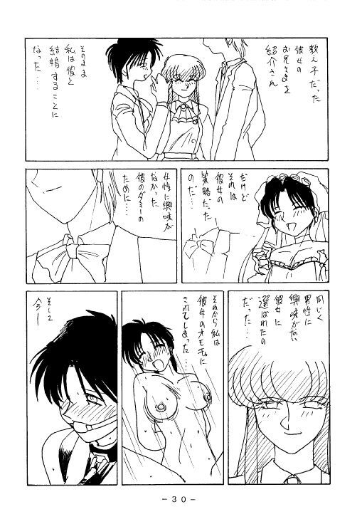 (C53) [WHITE ELEPHANT (Various)] Kousoku Sankan page 29 full