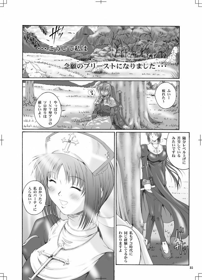 [Ruki Ruki EXISS (Fumizuki Misoka)] RO nabu (Ragnarok Online) page 34 full