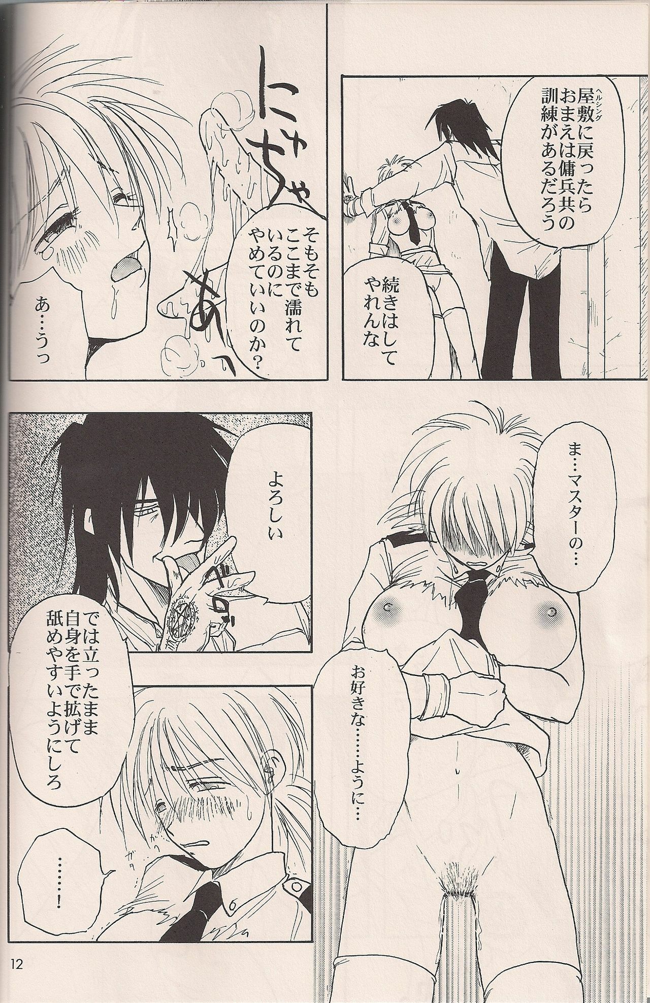 (C64) [Fusuma Goten (Shouji Haruko)] Enzai no Kiroku (Hellsing) page 11 full