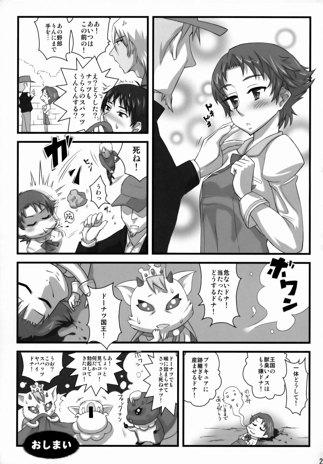 (C74) [Izakaya Yocchan (Enoshima Iki)] Pretty & Destroy (Yes! Precure5 Go Go!) page 24 full