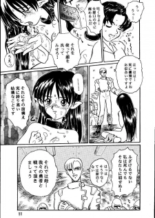 [Taishikan (Takamura-Taishi)] Seikai no Kokuin Kotsujoku no Oujo, Chitai Kyouen (Seikai no Senki) - page 10