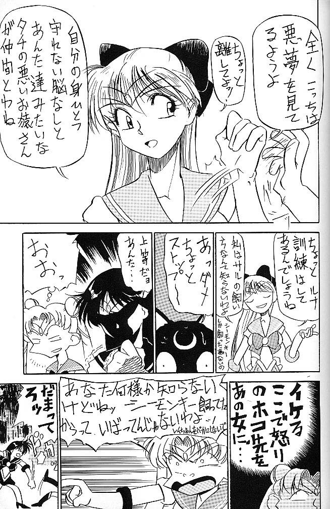 (C44) [V. Hercules (Ookame Toutarou, Sazanami Kazuto)] Mejiro (Bishoujo Senshi Sailor Moon, Genji Tsuushin Agedama) page 10 full