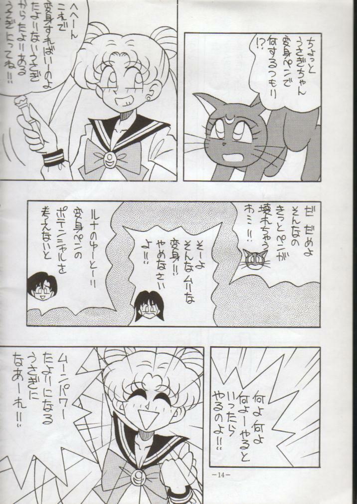 (C43) [METAL Bunshitsu] Getsugetsukaasuimokukinkin (Bishoujo Senshi Sailor Moon) page 15 full