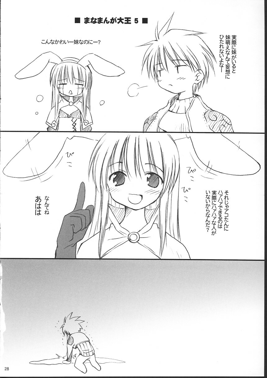 (C63) [Mizukidou (Mizuki Takehito)] Ragukuro (Ragnarok Online) page 27 full