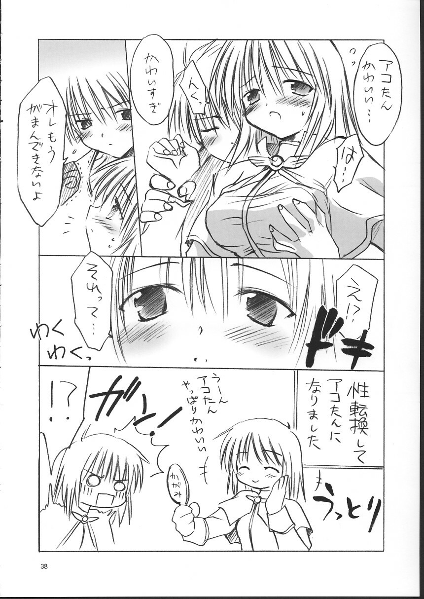 (C63) [Mizukidou (Mizuki Takehito)] Ragukuro (Ragnarok Online) page 37 full