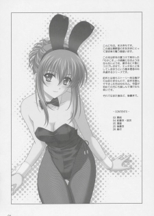 (C68) [CROSS-DO (Masakichi)] Chika Cos. 2 (Sister Princess) - page 3