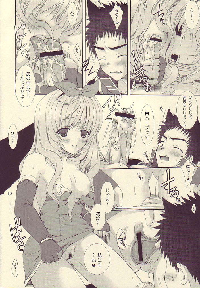 (C68) [LUNATIQUE (Futase Hikaru)] Vanilla no Yorokobi (Ragnarok Online) page 10 full