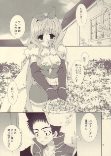 (C68) [LUNATIQUE (Futase Hikaru)] Vanilla no Yorokobi (Ragnarok Online) - page 5