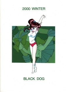 (C59) [BLACK DOG (Kuroinu Juu)] GREEN DAY (Bishoujo Senshi Sailor Moon) [French] [O-S] - page 30