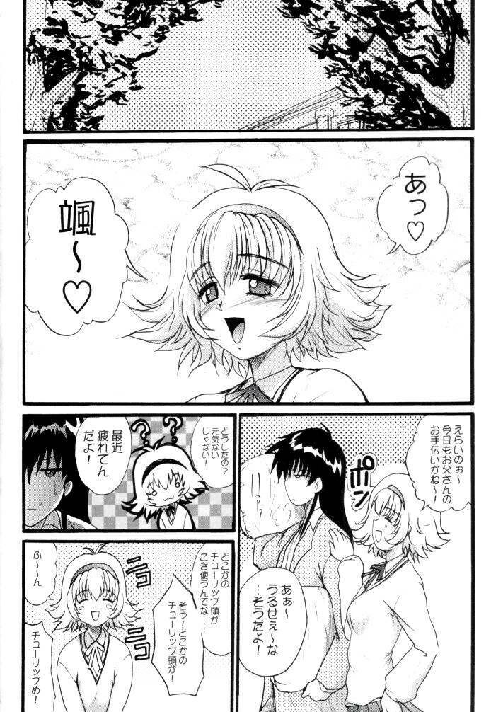 (C62) [Akahira Kirin (Akahira Kirin)] Bi TO 3 (Shin Shirayuki Hime Densetsu Pretear) page 3 full