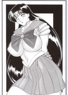 (CR32) [NEXT (Various)] NEXT Climax Magazine 12 Sailormoon (Bishoujo Senshi Sailor Moon) - page 17
