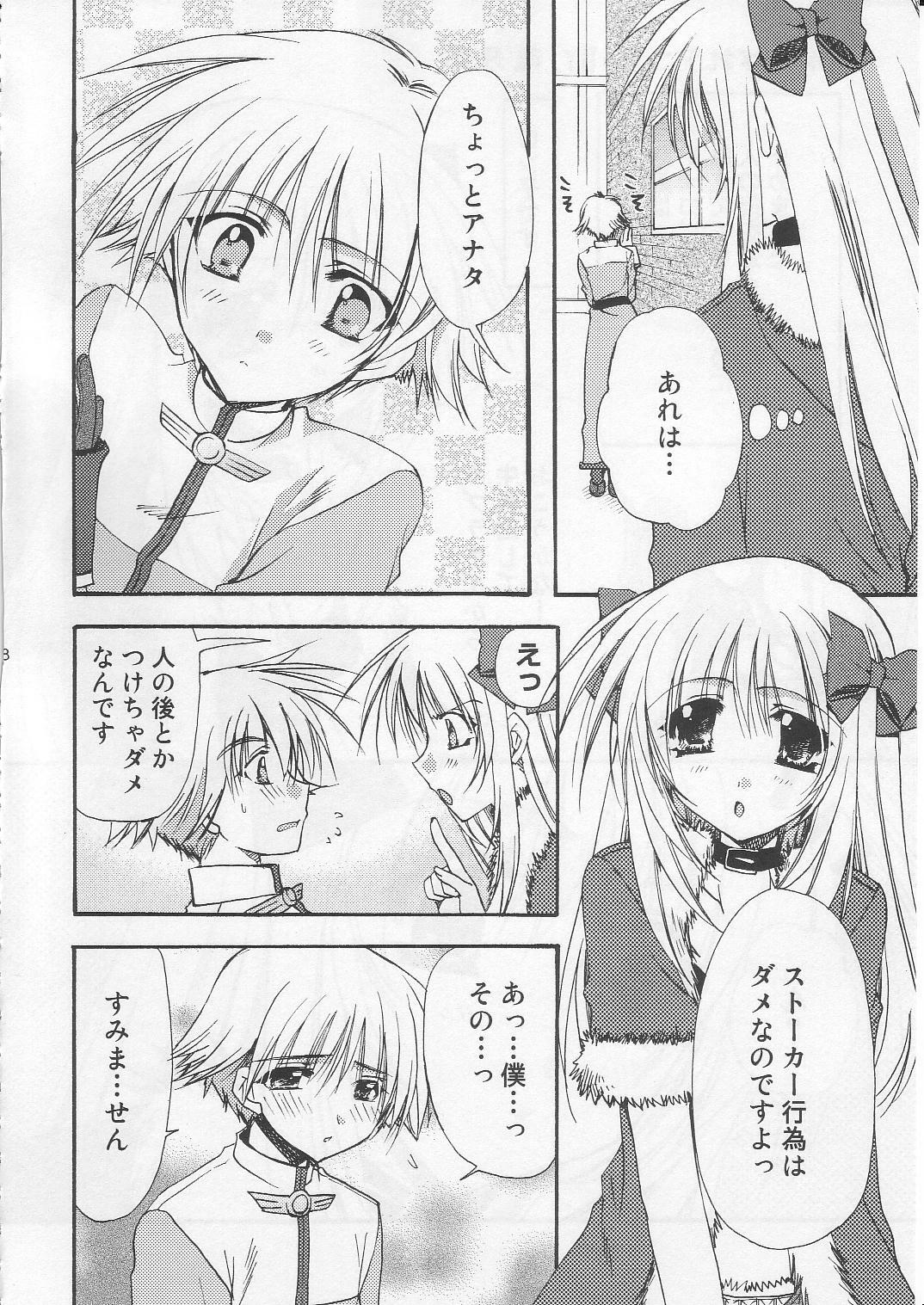 (C71) [Ryuu no Kinyoubi, Jiyou-Kyousou (Ryuga Syo, Nanjou Haruno)] JR04 (Ragnarok Online) page 17 full