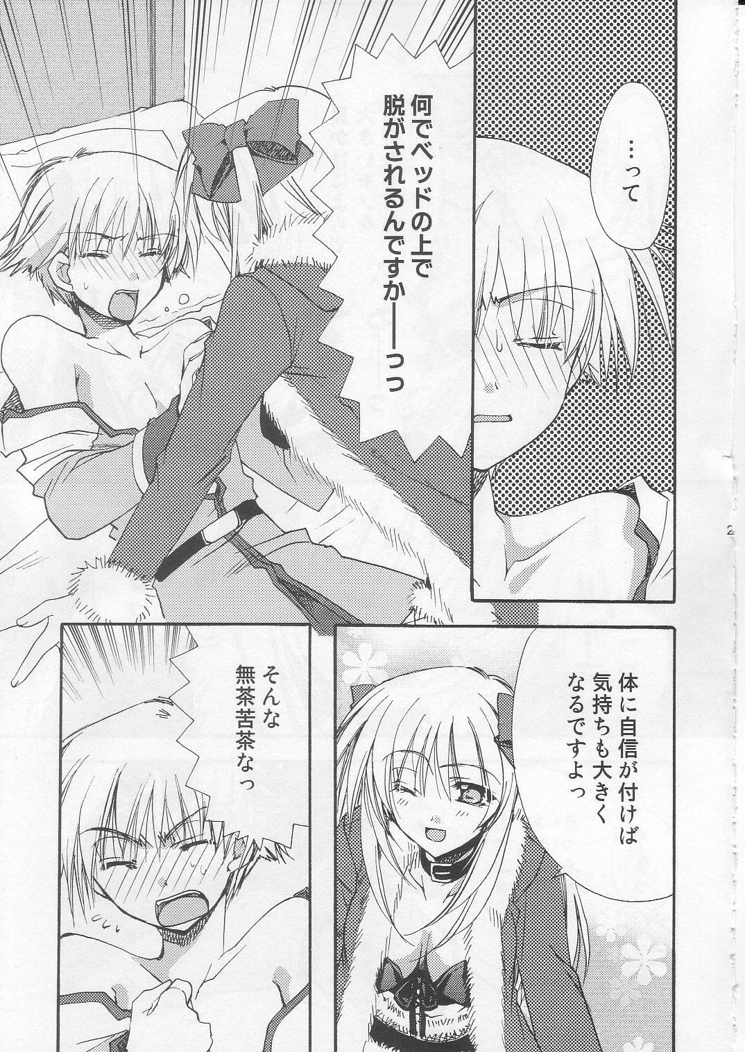 (C71) [Ryuu no Kinyoubi, Jiyou-Kyousou (Ryuga Syo, Nanjou Haruno)] JR04 (Ragnarok Online) page 20 full