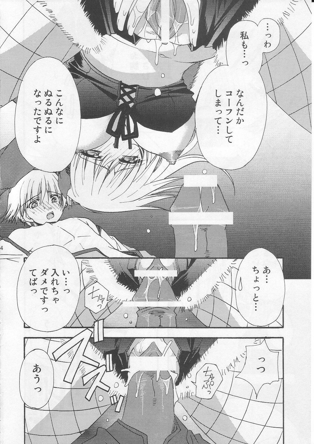 (C71) [Ryuu no Kinyoubi, Jiyou-Kyousou (Ryuga Syo, Nanjou Haruno)] JR04 (Ragnarok Online) page 23 full