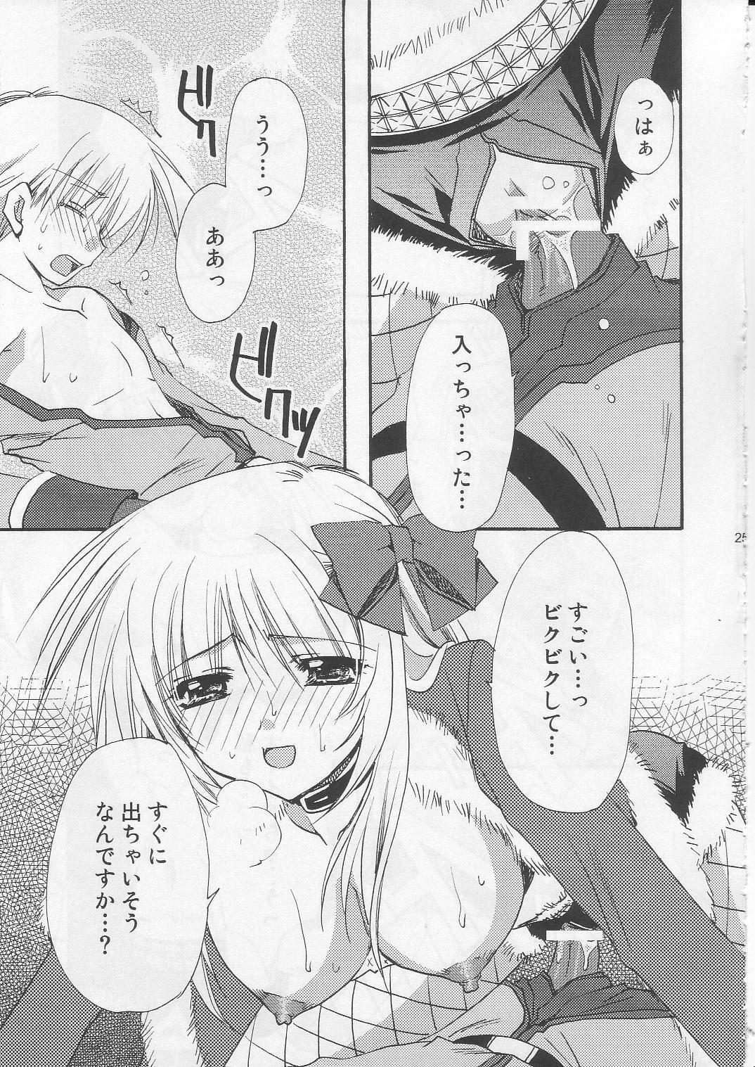 (C71) [Ryuu no Kinyoubi, Jiyou-Kyousou (Ryuga Syo, Nanjou Haruno)] JR04 (Ragnarok Online) page 24 full