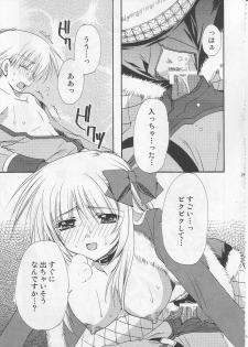 (C71) [Ryuu no Kinyoubi, Jiyou-Kyousou (Ryuga Syo, Nanjou Haruno)] JR04 (Ragnarok Online) - page 24